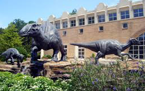 fernbank-museum-of-natural-history