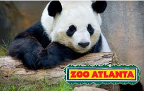 zoo-atlanta